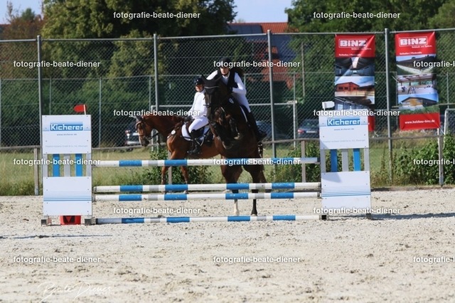 OHT 2022 Röhlingen (114) | Fotografie, Tiere, Hunde, Katzen, Pferde, Sportfotografie, Fotosession, Tierfotografie, Turnierfotografie, Fotografin, Fotograf - Realisiert mit Pictrs.com