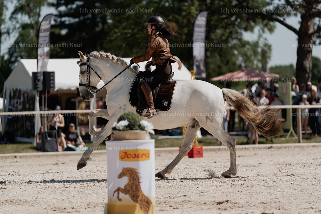 WE_SP_Stoib_347_PI2025_1533 | Pferd International München 2025