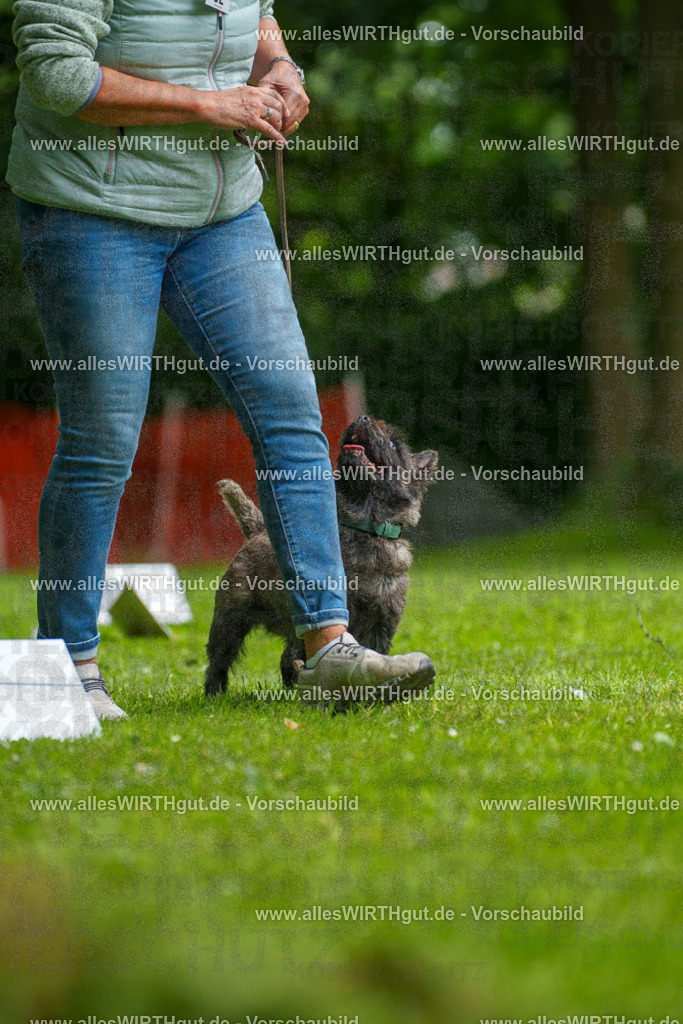 @allesWIRTHgut_Tierfotografie - www.allesWIRTHgut.de - 7R504483 | Professionelle Tierfotografie in Mönchengladbach von Daniel Wirth (allesWIRTHgut). Liebevolle & natürliche Bilder von Hunden & Katzen für unvergessliche Erinnerungen.