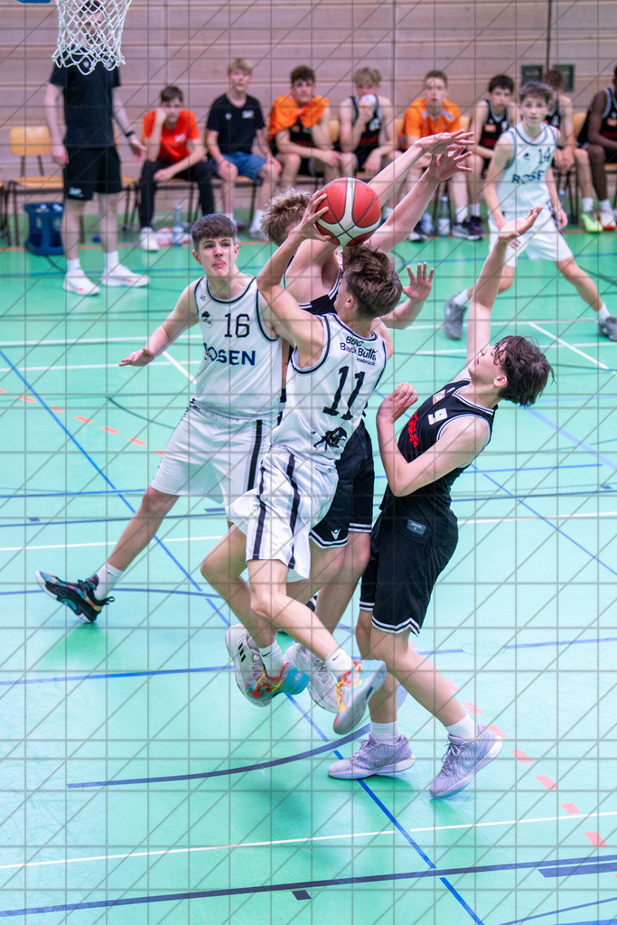 @Martin König_20240623__DSC2777 | bullenfotos|de - Realisiert mit Pictrs.com