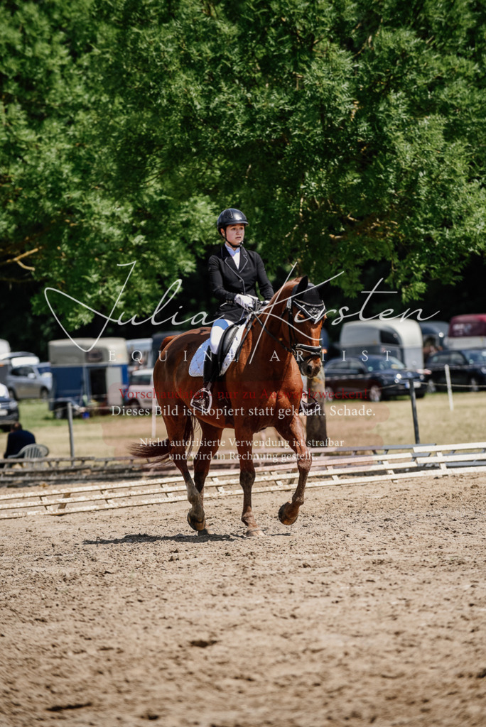 DSC_1364 | Pferde- und Turnierfotografie in Westsachsen. Pferdeportraits, Auftragszeichnungen und intuitive Kunst.