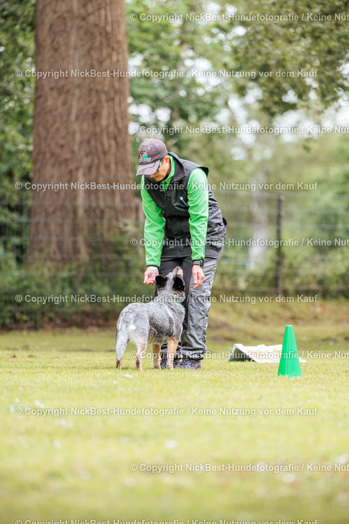 RO-Blumenthal-2026-Nickbest-Hundefotografie-1797 | Dein Hund! Dein Moment! Deine Erinnerungen! Hundefotografie in Bremen Blumenthal. Ich fange die besonderen Momente deines Vierbeiners ein – ob Indoor mit Blitzanlage oder in der freien Natur. Sicher dir dein Moment und dein Termin für eure Erinnerungen.