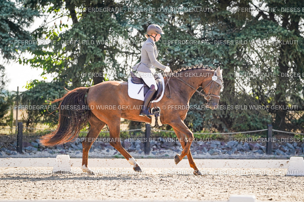 DSC09880 | Pferdegrafie