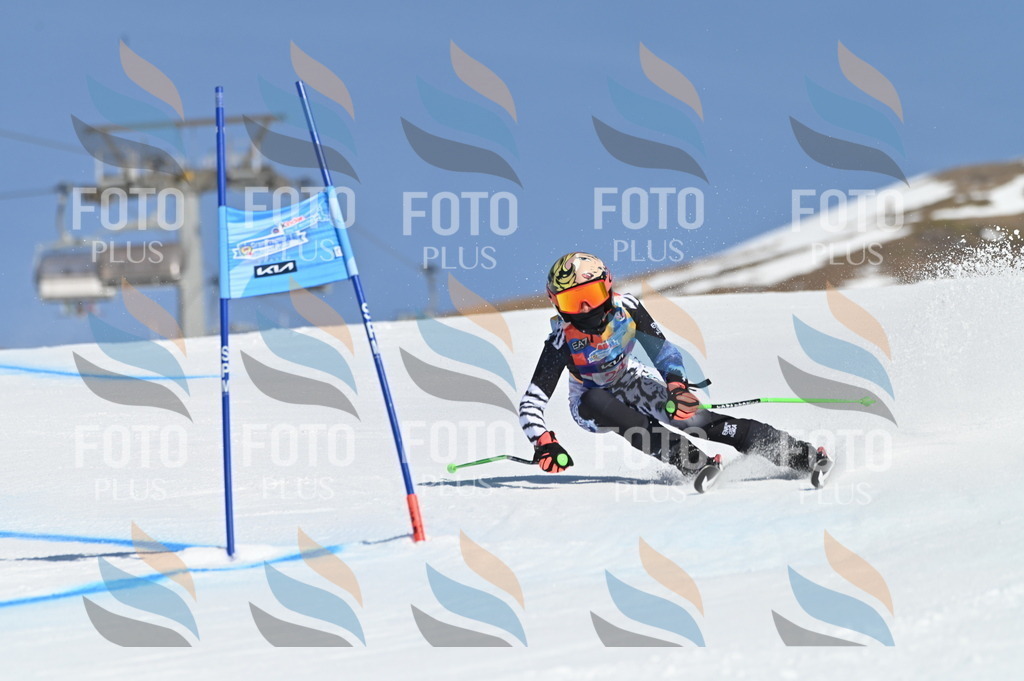 BGV_8024 | holidayphoto