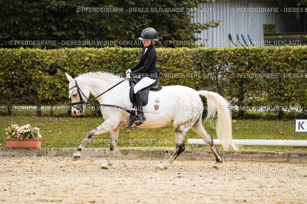 DSC09611 | Pferdegrafie