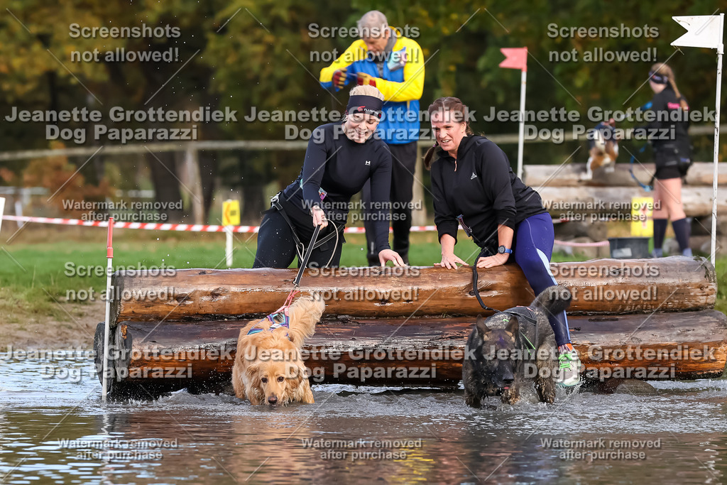 Dog Paparazzi - Strongdog 10-25-6964 | Dog Paparazzi Jeanette Grottendiek Fotografie & Videografie - Realisiert mit Pictrs.com