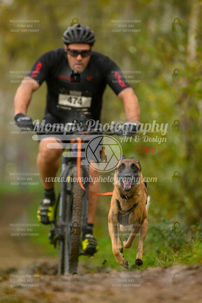 MompixPhotography_20TSB_E6_Bike-116 | PayLife