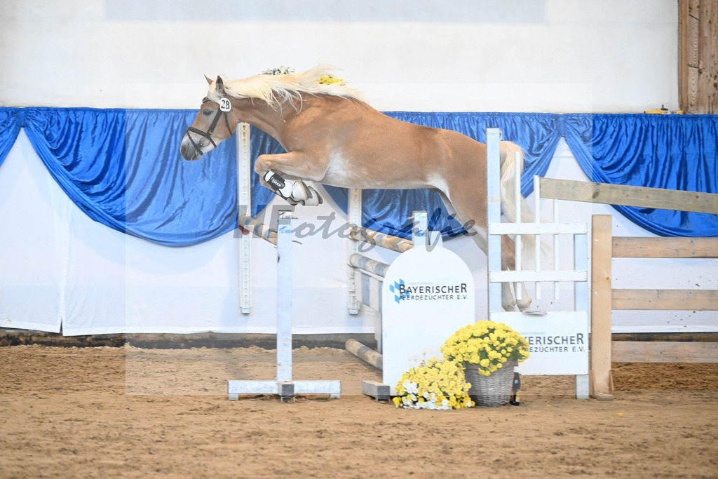 Kat-Nr. 28 nn v. Nio_Kirchberger_48250588 | hf-fotografie - Realisiert mit Pictrs.com