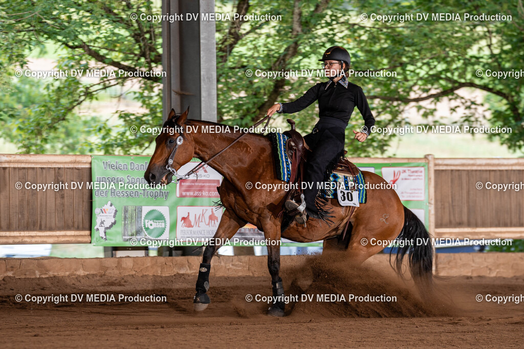 Erbach Tag 2-952 | dv-media-shop - Realisiert mit Pictrs.com