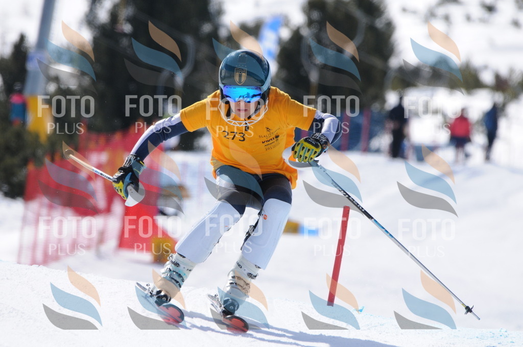 C8985 | holidayphoto