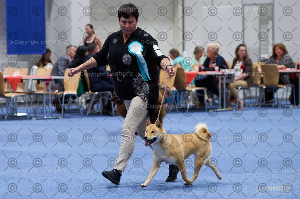 202406_ÖKV-IHA-Tulln24_DSC_3047 | proPHOTO - Realisiert mit Pictrs.com