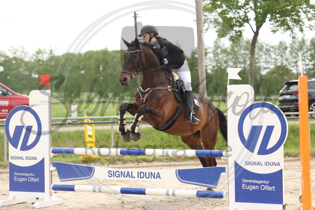 994A8185 | sabrinanicolaifotografie - Realisiert mit Pictrs.com