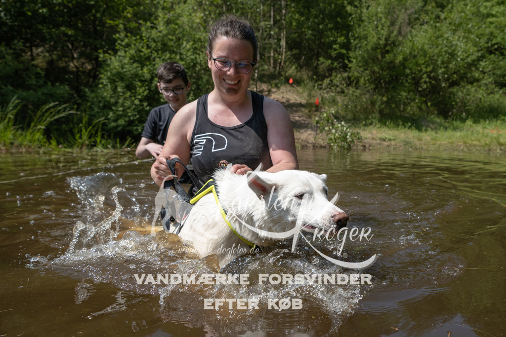 1412DKK990079 | kk-dogfotos