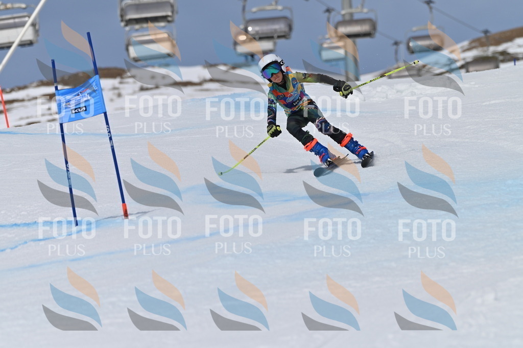 BGV_5934 | holidayphoto