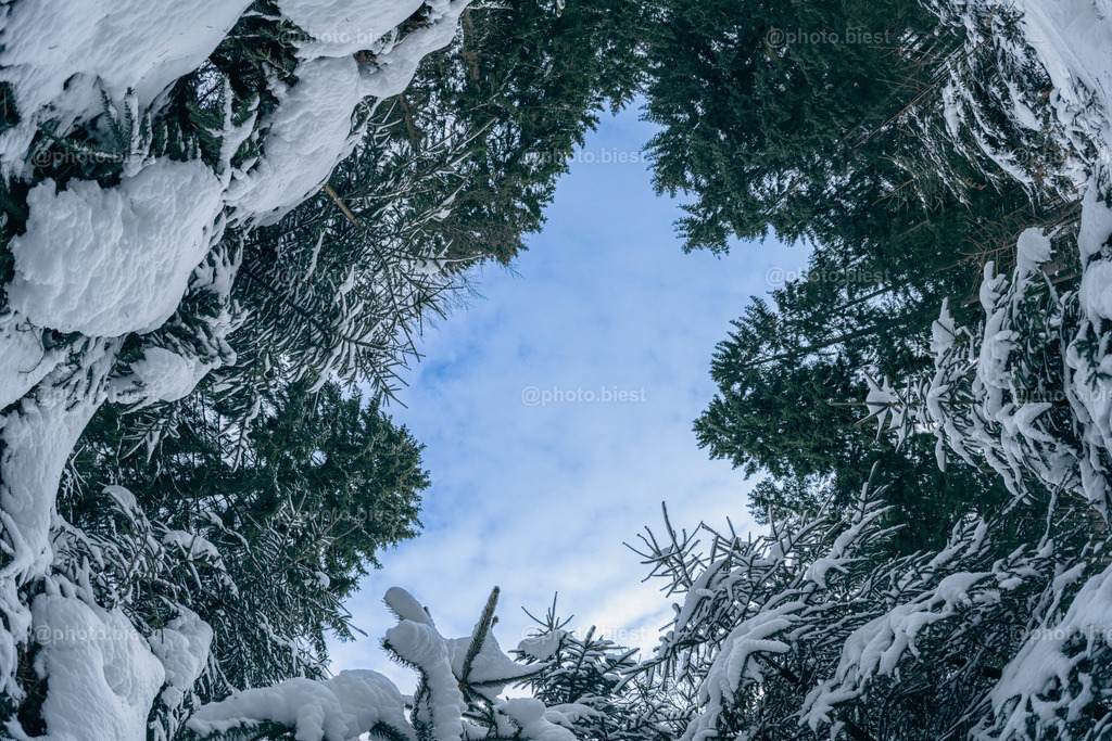 IMGC9166 | photobiest - Realisiert mit Pictrs.com