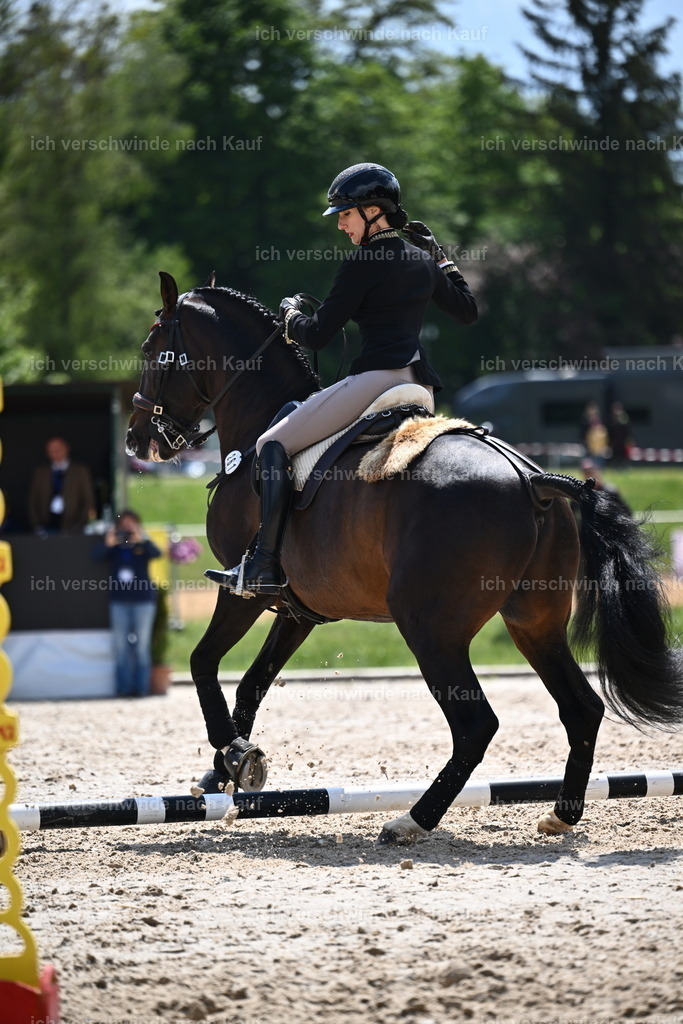 PI26_SP_Sara_Landvogt_226_5798.JPG | working equitationturnier fotograf videograf stoibphotography marixx film working equitation deutschland reitsport turnierfotografie eventfotografie equestrian events