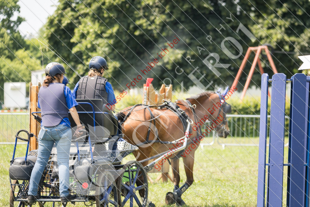IMG_8081 | Sport-, Event- und Tierfotos in Profiqualität. Einfach auswählen, bestellen und herunterladen. Dein Moment – perfekt festgehalten.