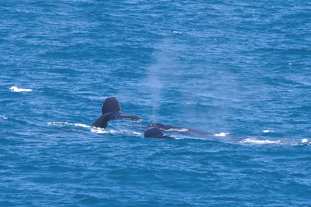 1H5A1510a | ansichtssache