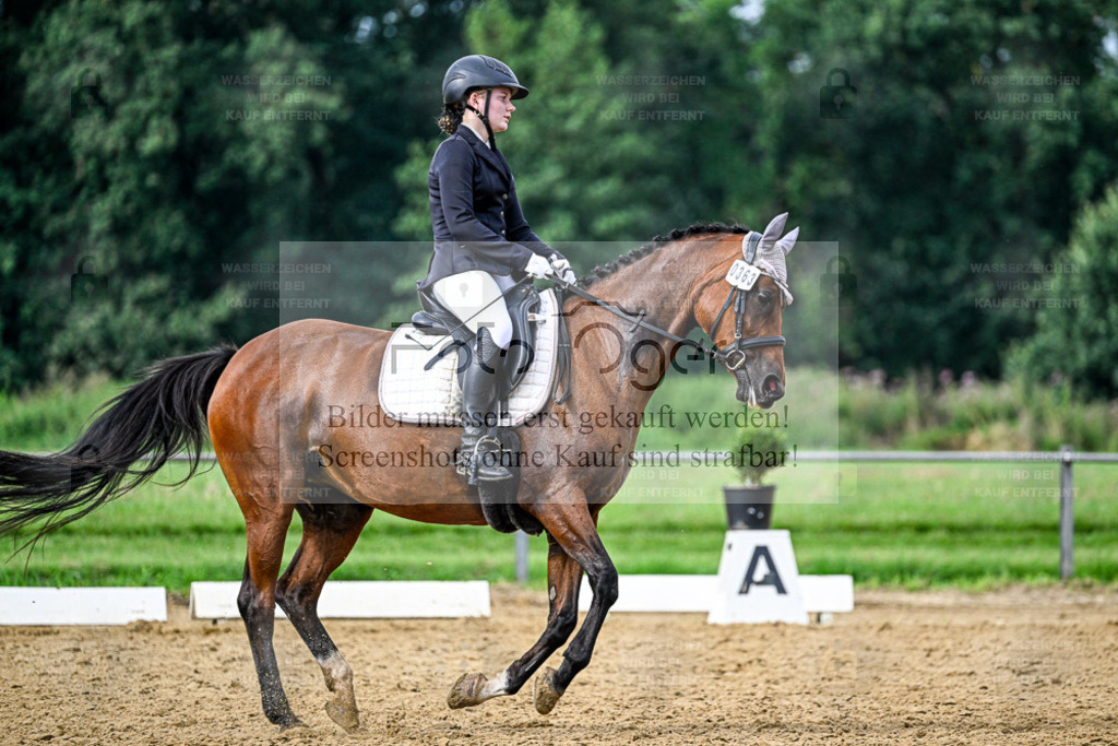 Reitturnier Hasbergen | Entdecke hochwertige Reitturnierfotos von Foto Oger. Professionell, emotional und authentisch – jetzt Lieblingsmomente im Shop bestellen. - Realisiert mit Pictrs.com