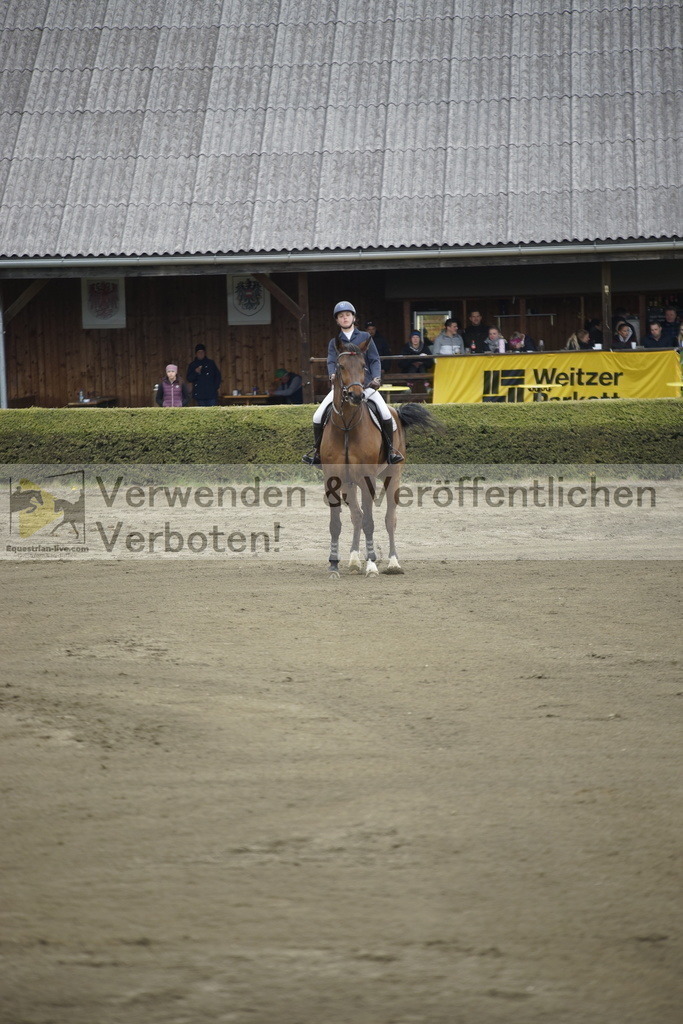 _DSC7290 | equestrian-live-com