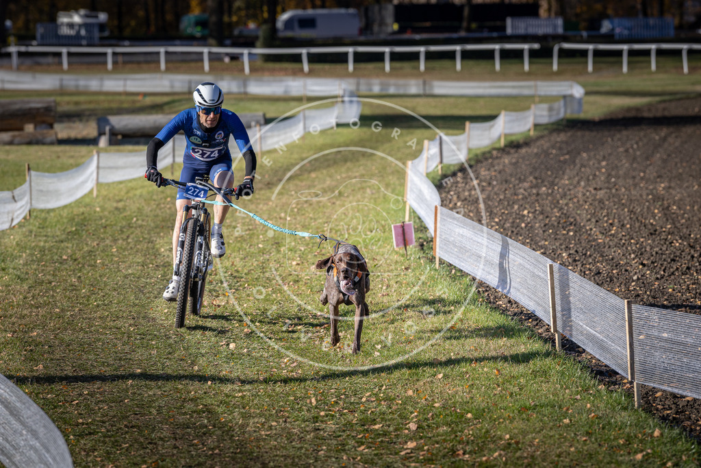 CaniXpix_DV3A5288 | Hundefotografie, Tierfotograf, Pfotenfotografie, Fotoshooting Hund, Hunde Portrait, Hundesport, Hundeportraits, Heideshooting, Hunde, Sportfotograf, Hundefotograf, Turnierhundsport, THS,  - Realisiert mit Pictrs.com