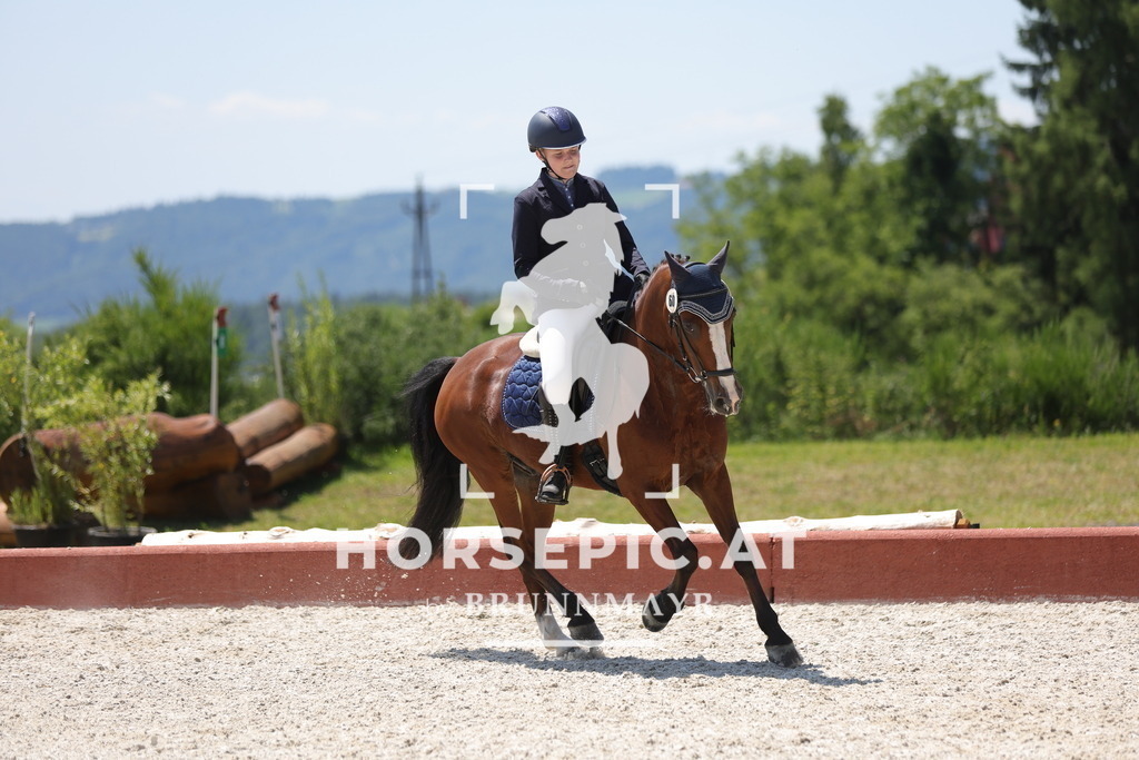 0P6A6332 | Willkommen bei Brunnmayr - Design & Fotografie – Ihrem Spezialisten für Reitturniere und Pferdeveranstaltungen in Oberösterreich, Salzburg und Bayern! Seit über 17 Jahren sind wir leidenschaftlich dabei.