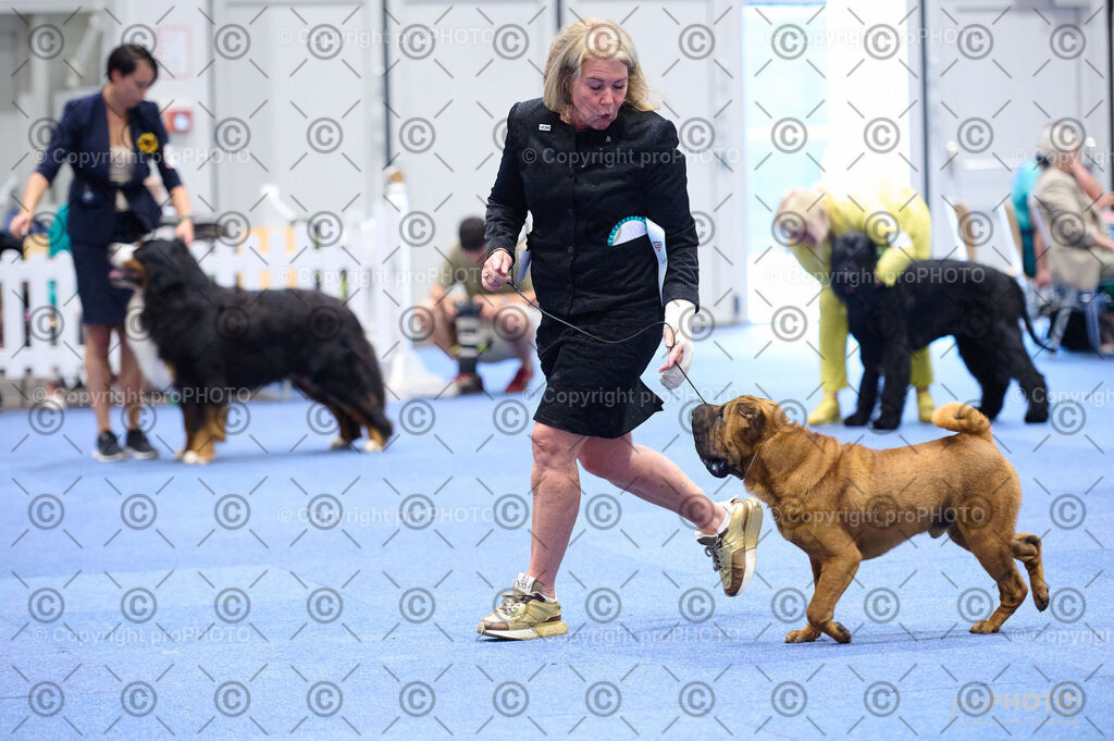 202406_ÖKV-IHA-Tulln24_DSC_2955 | proPHOTO - Realisiert mit Pictrs.com