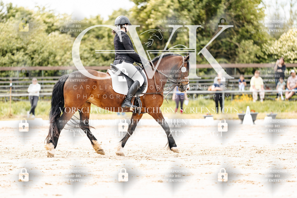CK902821 | Turnierfotografie Pferdefotografie Trier Rheinland-Pfalz Pferdesport Reitsport Tierfotografie Sportfotografie Pferdevideo Pferdevideografie Equestrianvideography equestrianphotography  - Realisiert mit Pictrs.com
