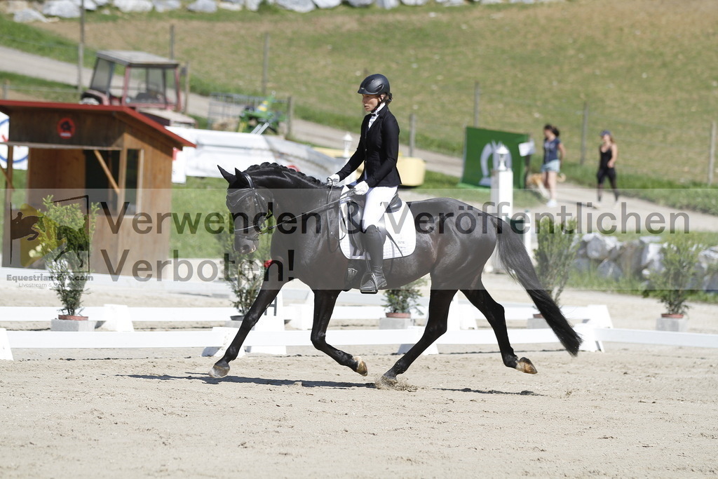 _MG_6727 | equestrian-live-com