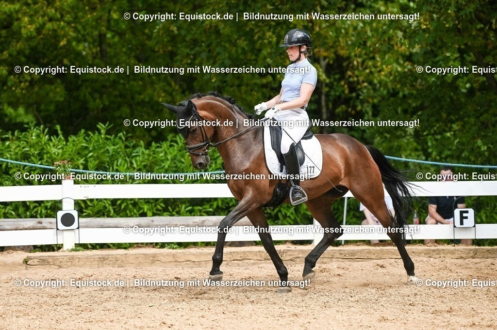 20230715_02_Dressurreiterprüfung Kl.L_0405 | equistock