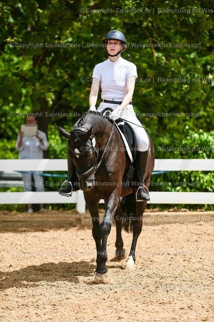 20230715_05_Dressurprüfung Kl.A++_0257 | equistock