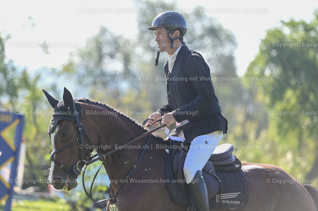 20230908_14-15_Springpferde-A_0149 | equistock