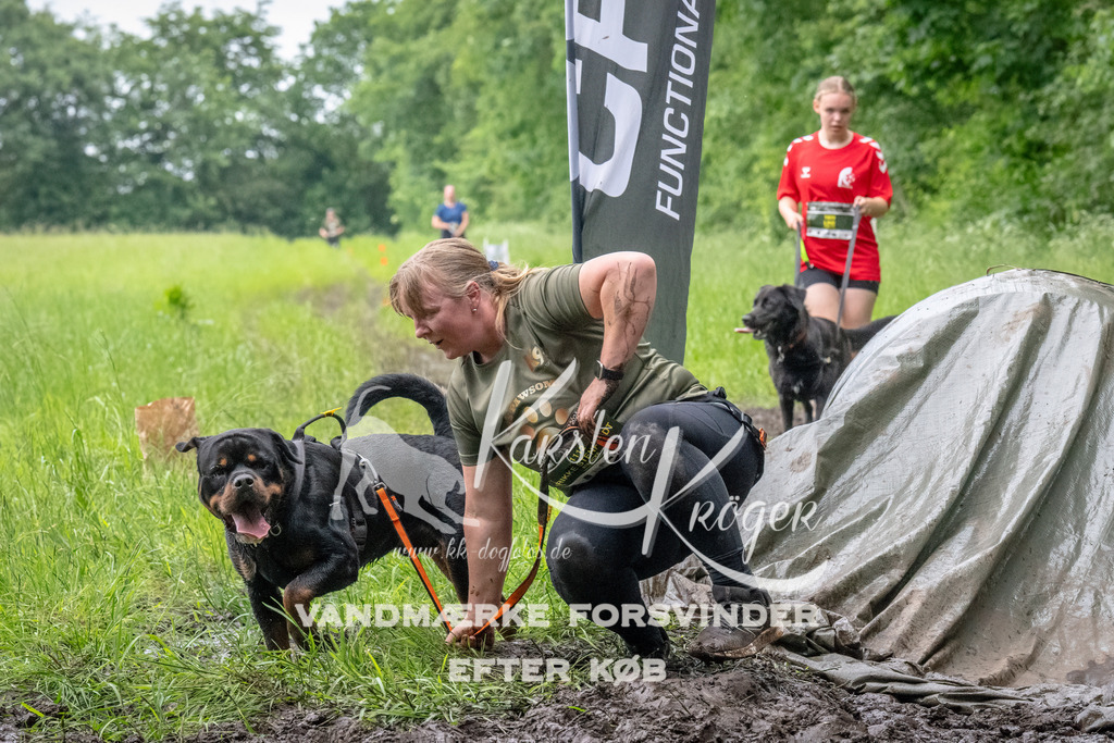 1630_ZZ94379-Bearbeitet | kk-dogfotos