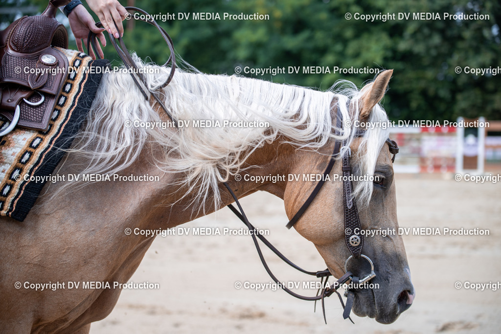 ZS2_4029 | dv-media-shop - Realisiert mit Pictrs.com