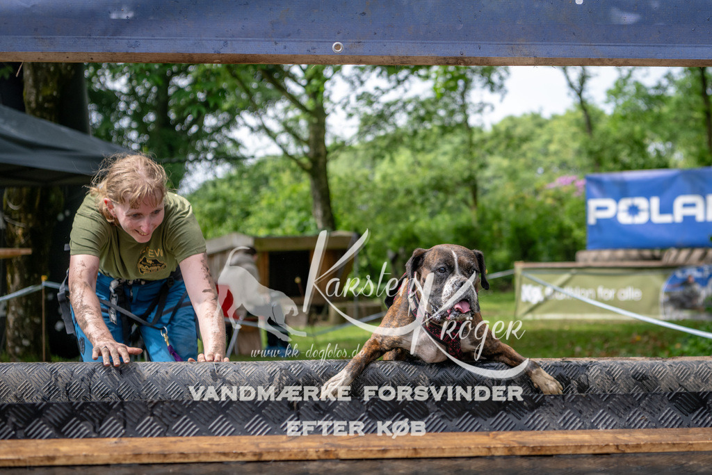 1055_ZZ92001 | kk-dogfotos