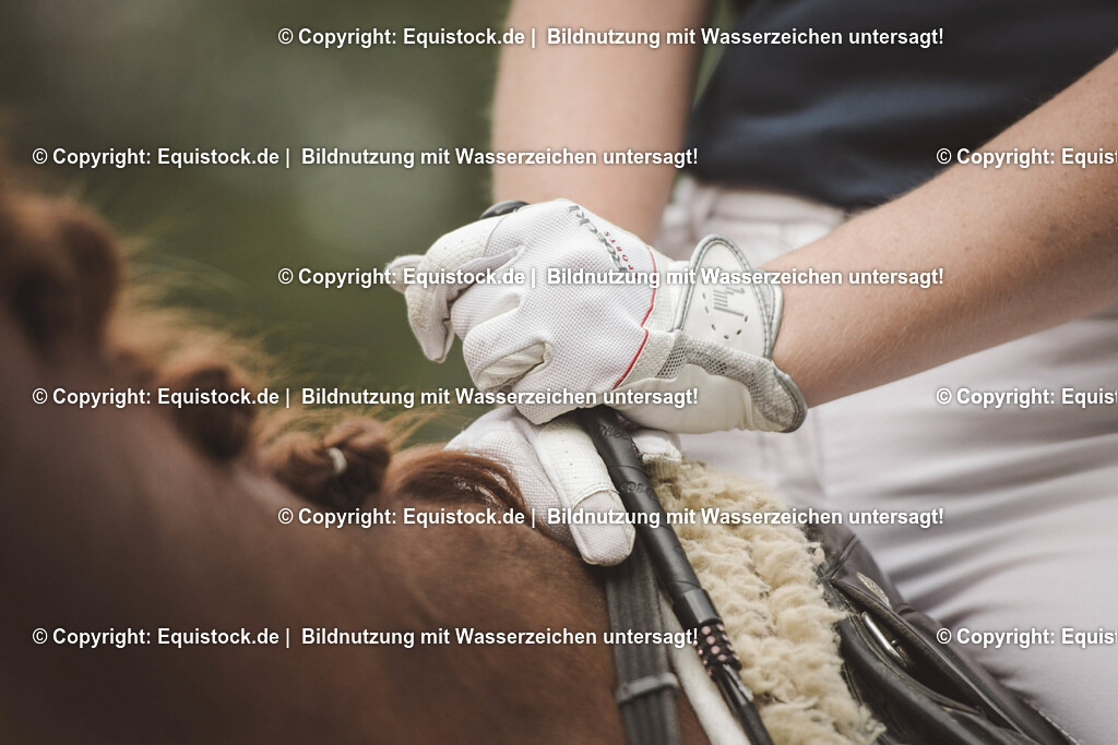 TS_20170827_Roeckl_Turnierhandschuhe_0001 | Foto: Thomas Hartig