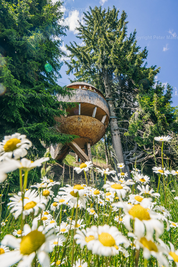 Malga_Priu_Karnische_Milchstrasse_2020-63 | piet_flosse