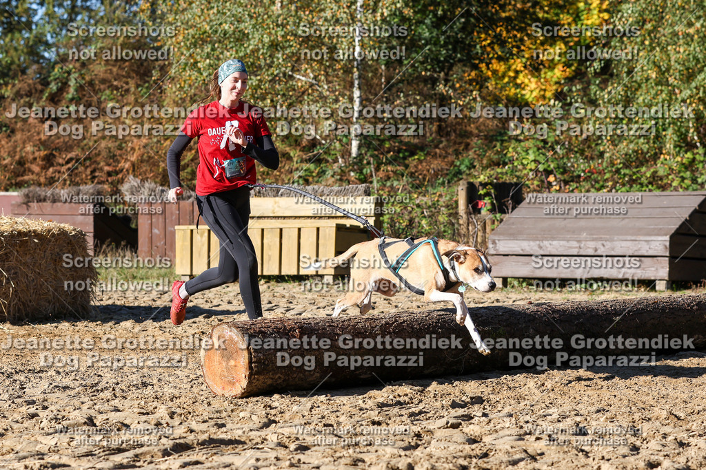 Dog Paparazzi - Strongdog 10-25-2224 | Dog Paparazzi Jeanette Grottendiek Fotografie & Videografie - Realisiert mit Pictrs.com