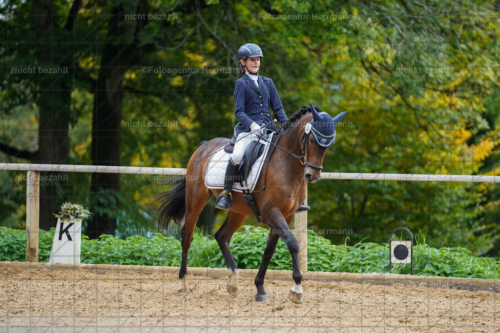 20221008-FAH01144 | Diessen am Ammersee, 2022, Dressur- und Springturnier, Reitsportbilder, Turnierfotografen Bayern, Pferdefotografen, Fotoagentur Herrmann, Turnierbilder