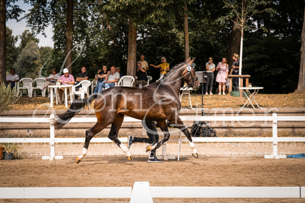 6.Fr00008 | Leoni Ertmer Photography - Realisiert mit Pictrs.com