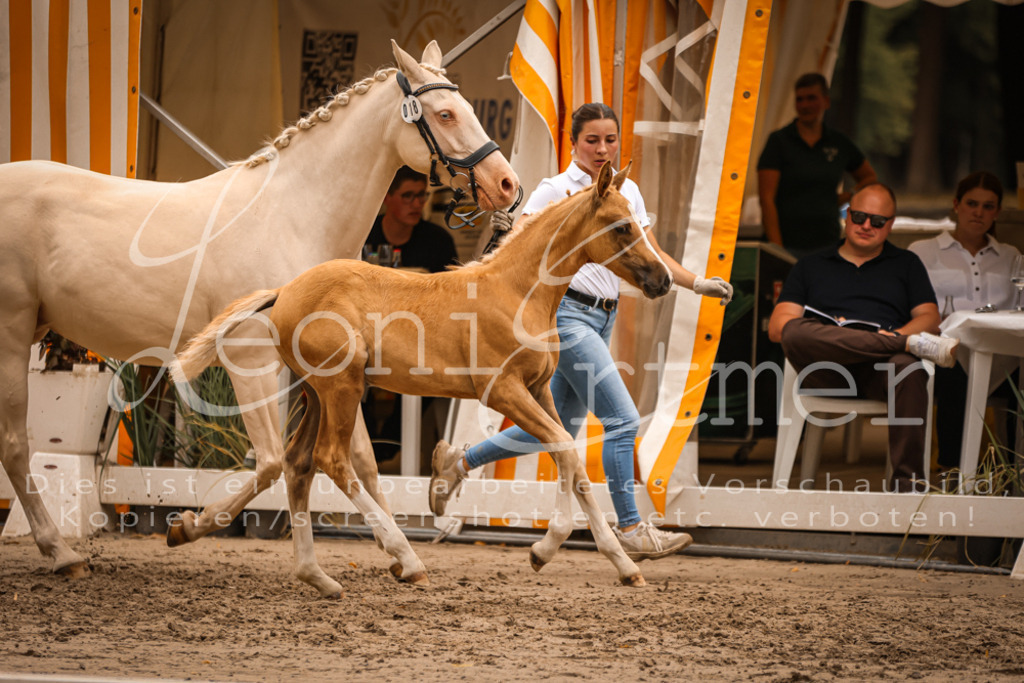 SaPA00258 | Leoni Ertmer Photography - Realisiert mit Pictrs.com