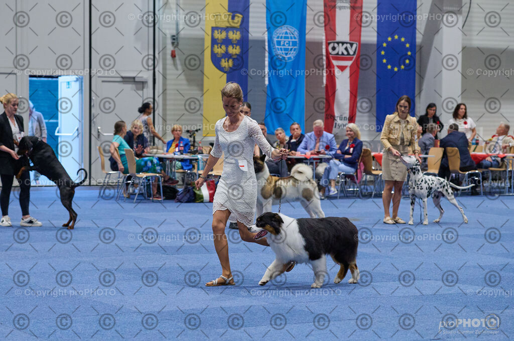 202406_ÖKV-IHA-Tulln24_DSC_3346 | proPHOTO - Realisiert mit Pictrs.com