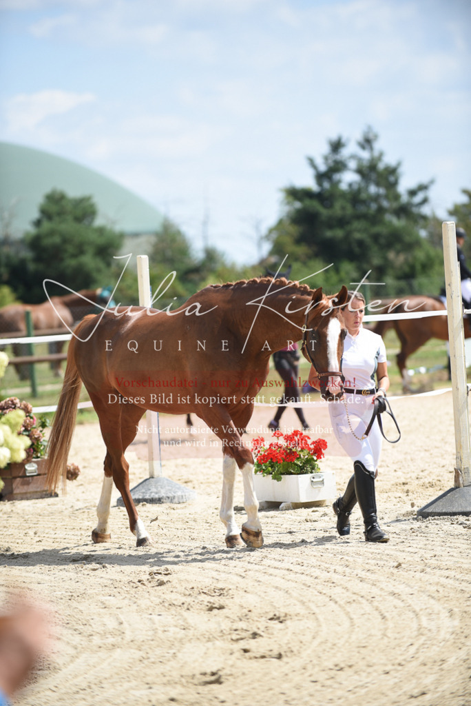 DSC_8968 | Pferde- und Turnierfotografie in Westsachsen. Pferdeportraits, Auftragszeichnungen und intuitive Kunst.