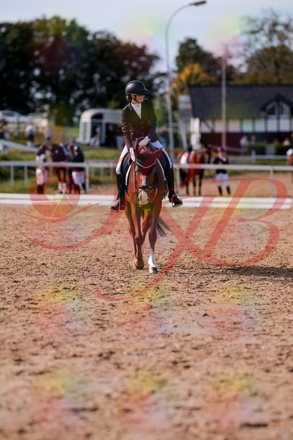 2026_10_03_Siefer-Hof_133317_Z81_91721313 | Professionelle Reitsport-, Turnier- und Eventfotografie von Robert Broda. Galerien mit ausgewählten und bearbeiteten Bildern direkt online ansehen und bestellen.