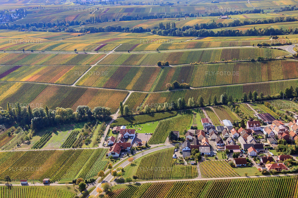 Luftbild: Weinberge in Herbstlaub im Ortsteil Arzheim in Landau im Bundesland Rheinland-Pfalz in Deutschland. Foto: IMG_22333.jpg vom 15.10.2009 durch Werner Riehm/FLY-FOTO.de
