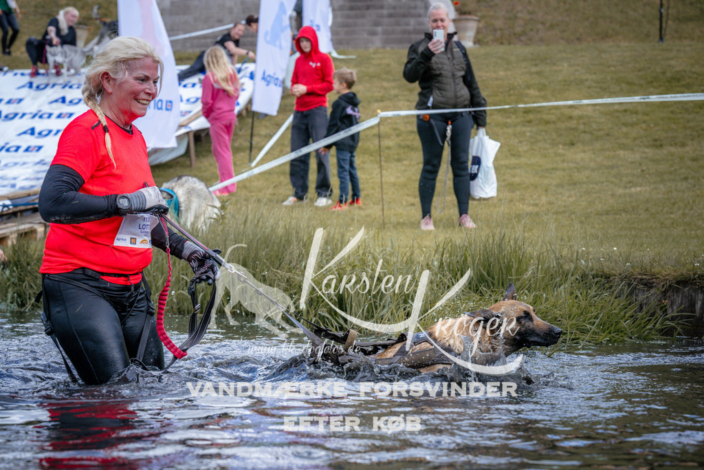 _ZZ911450912 | kk-dogfotos