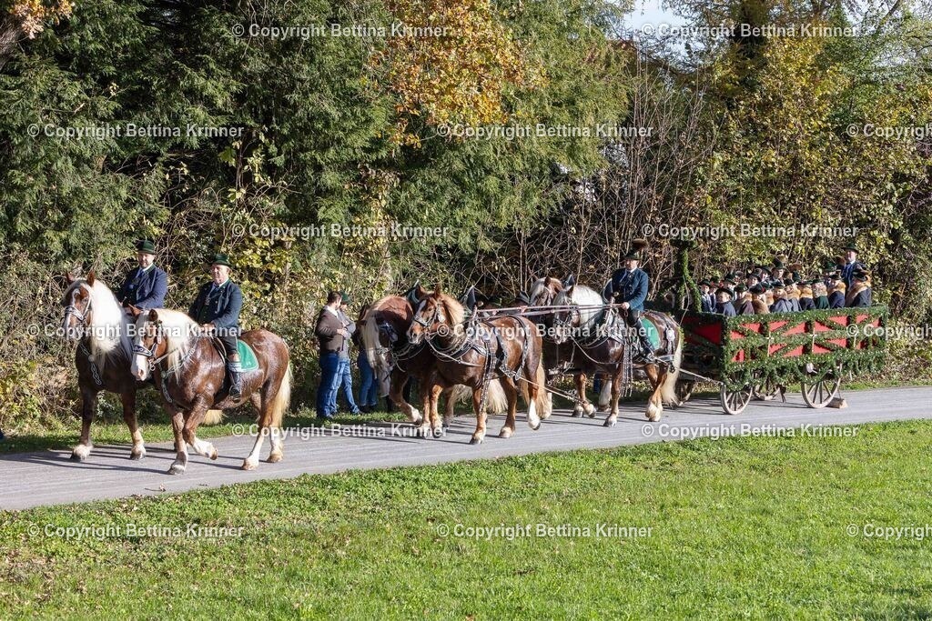 LBT24-147 | foto-bettina-krinner - Realisiert mit Pictrs.com