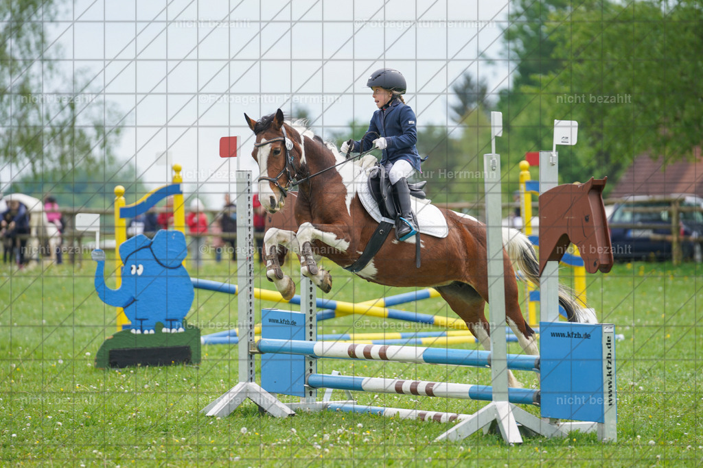 20240509-FAH02462 | Turnierbilder der Turnierfotografen Bayern, Pferdesport Fotografie, Reitsportbilder, Turnier Landberg am Lech, Turnierbilder bayern, Fotoagentur Herrmann
