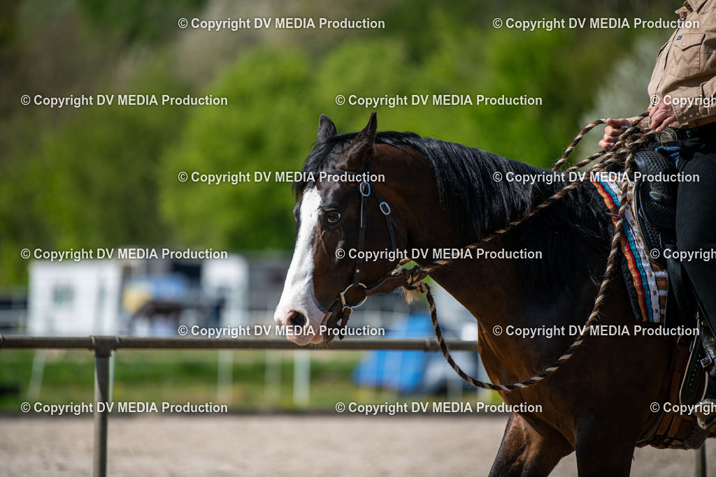 Heiligenwald Tag 2-841 | dv-media-shop - Realisiert mit Pictrs.com