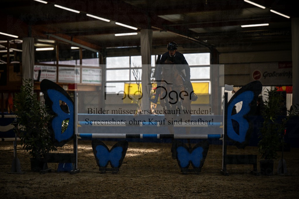 DOS_B1284 | Entdecke hochwertige Reitturnierfotos von Foto Oger. Professionell, emotional und authentisch – jetzt Lieblingsmomente im Shop bestellen.Deutschlandweite Turnierfotografie. - Realisiert mit Pictrs.com